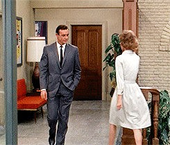 gif 1
