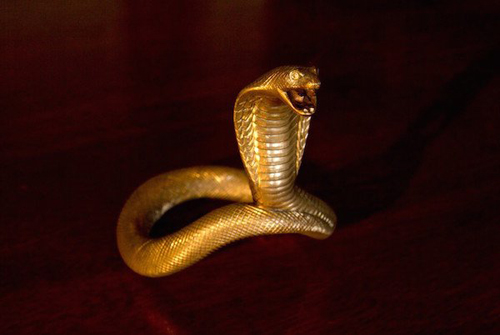king jcobra solid gold cock ring