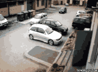 giphy 1