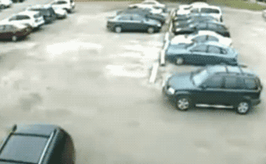 giphy downsized 10