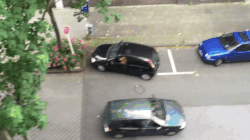giphy 1