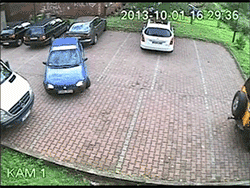 giphy 1